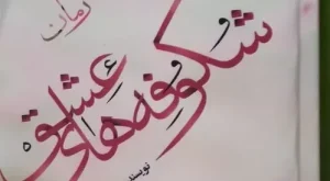 فرح مقصودی